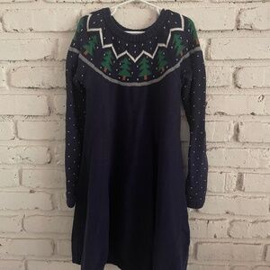 Hanna Anderson sweater dress